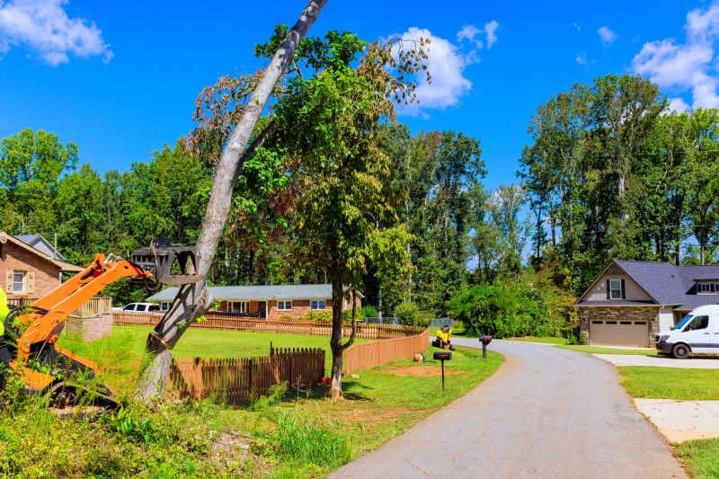Apple Tree Removal in Montgomery County, PA