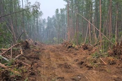 Commercial Land Clearing in Atlanta, GA